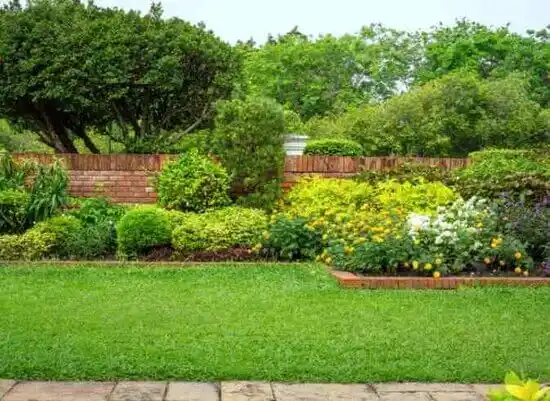 landscaping services Winterville